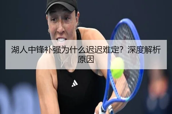 湖人中锋补强为什么迟迟难定？深度解析原因